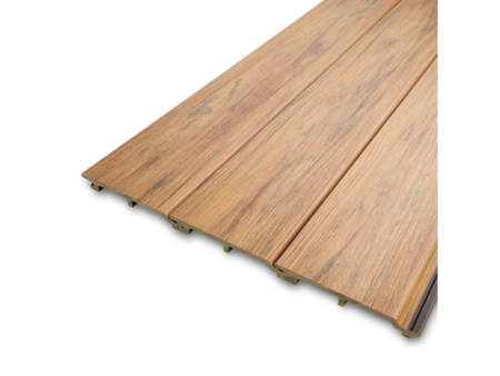 Deska elewacyjna kompozytowa Solid Teak